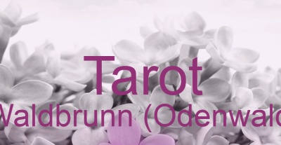 Tarot Waldbrunn (Odenwald) | Top-Experten für Kartenlegen, Wahrsagen, Hellsehen, Zukunftsdeutung.